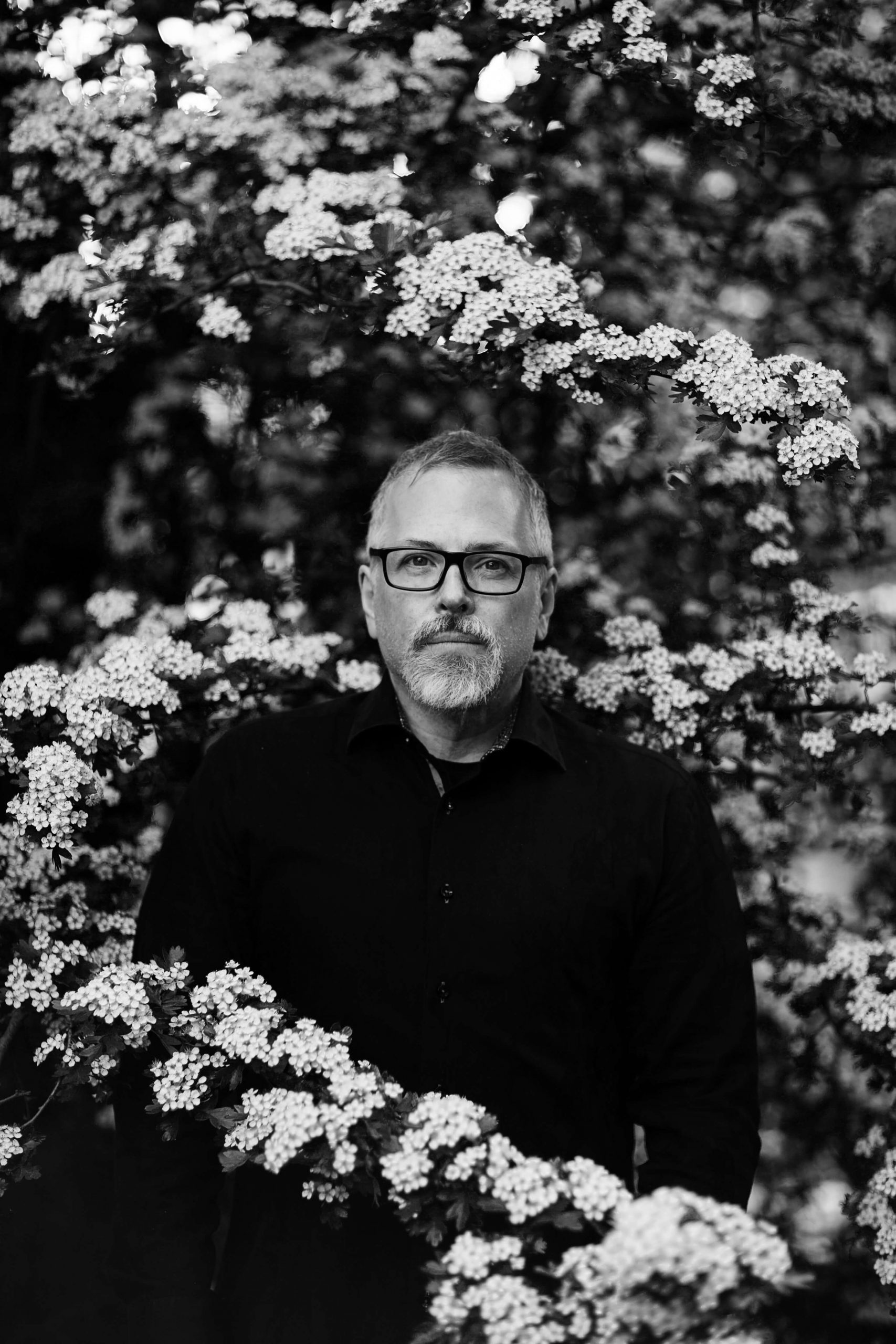 Hummingbird Salamander by Jeff VanderMeer Hummingbird Salamander by Jeff VanderMeer